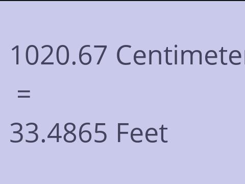 1020.67 CM TO FEET