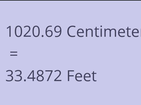 1020.69 CM TO FEET