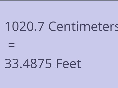 1020.7 CM TO FEET