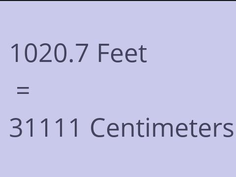 1020.7 FEET TO CM