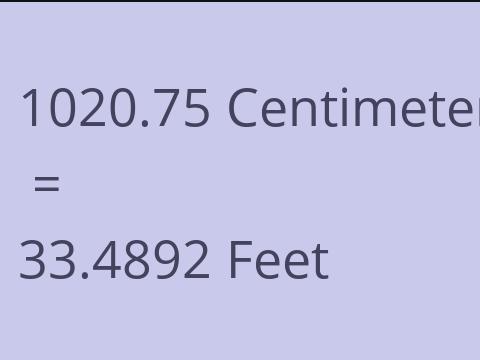 1020.75 CM TO FEET