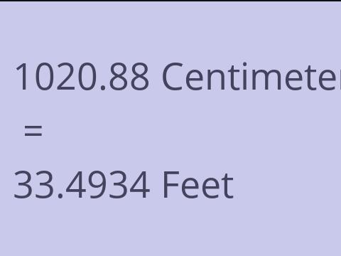 1020.88 CM TO FEET