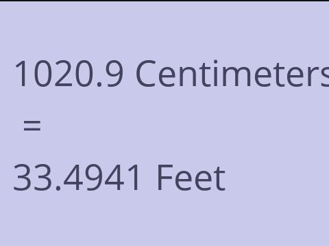 1020.9 CM TO FEET