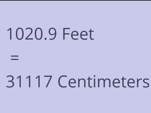 1020.9 FEET TO CM