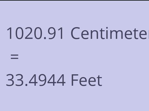 1020.91 CM TO FEET