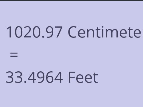 1020.97 CM TO FEET