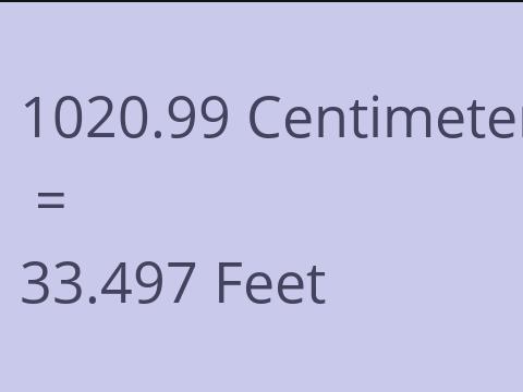 1020.99 CM TO FEET