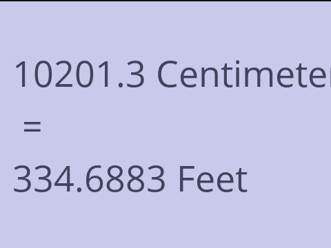 10201.3 CM TO FEET