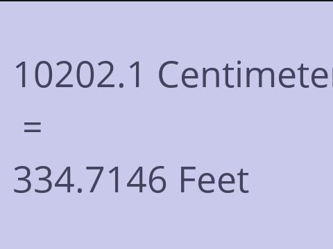 10202.1 CM TO FEET