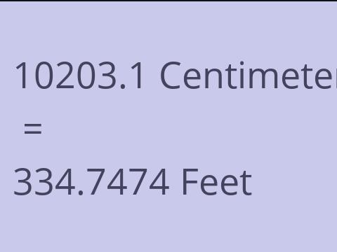 10203.1 CM TO FEET