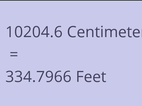 10204.6 CM TO FEET
