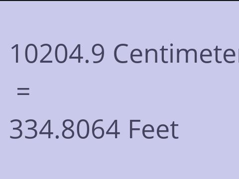 10204.9 CM TO FEET