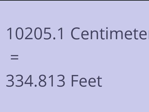 10205.1 CM TO FEET