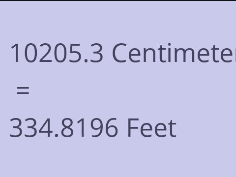 10205.3 CM TO FEET