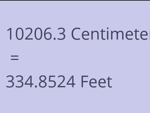 10206.3 CM TO FEET