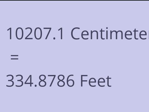 10207.1 CM TO FEET