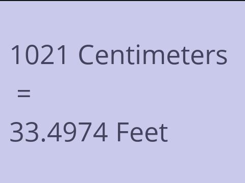 1021 CM TO FEET