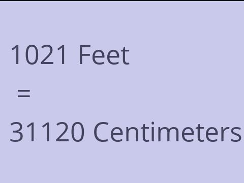 1021 FEET TO CM