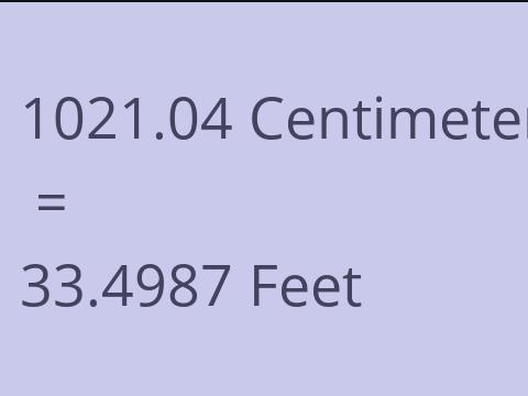 1021.04 CM TO FEET