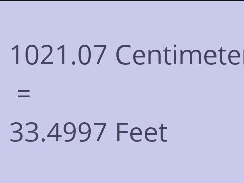 1021.07 CM TO FEET