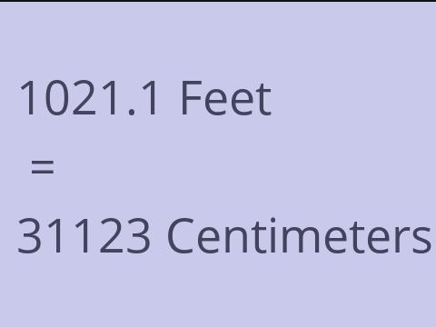 1021.1 FEET TO CM