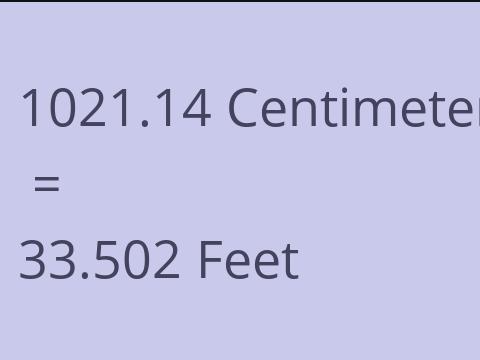 1021.14 CM TO FEET