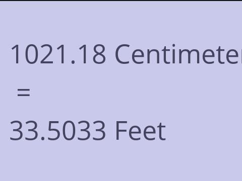 1021.18 CM TO FEET