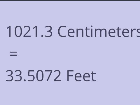 1021.3 CM TO FEET