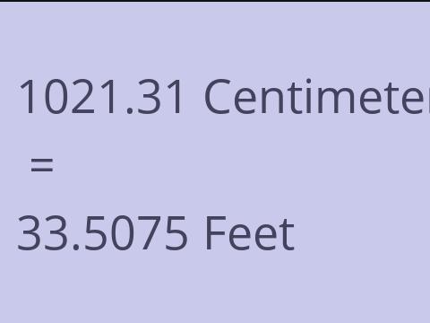 1021.31 CM TO FEET