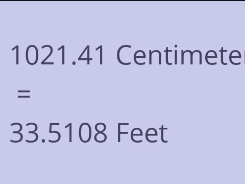 1021.41 CM TO FEET