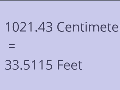 1021.43 CM TO FEET