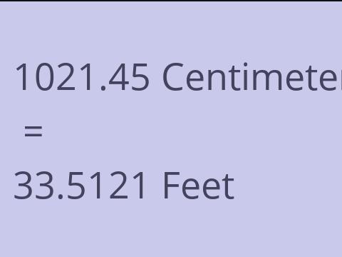 1021.45 CM TO FEET