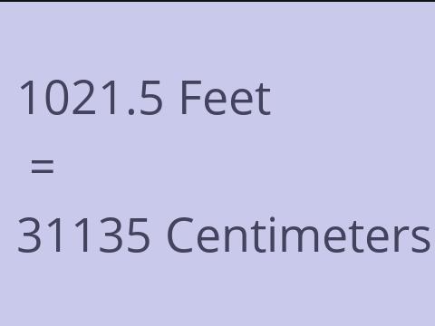 1021.5 FEET TO CM