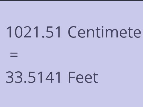 1021.51 CM TO FEET