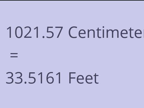 1021.57 CM TO FEET