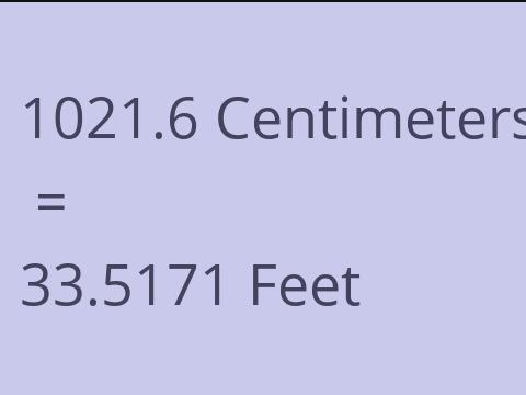 1021.6 CM TO FEET