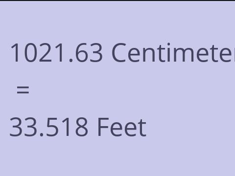 1021.63 CM TO FEET