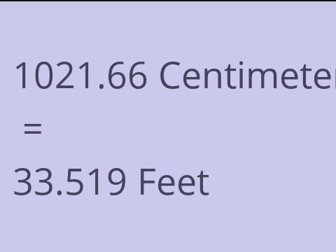 1021.66 CM TO FEET