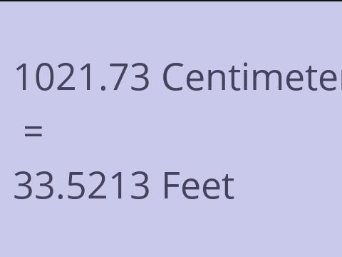 1021.73 CM TO FEET