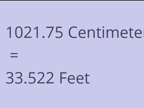 1021.75 CM TO FEET