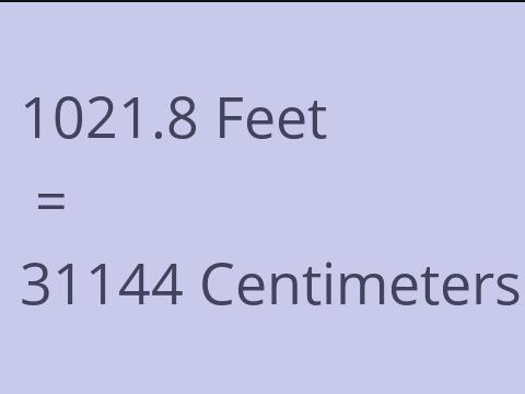 1021.8 FEET TO CM