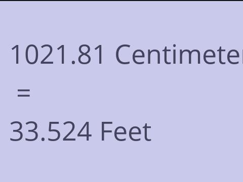 1021.81 CM TO FEET