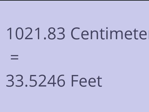 1021.83 CM TO FEET