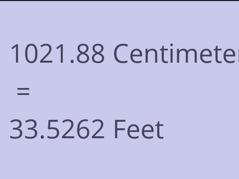 1021.88 CM TO FEET