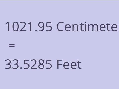 1021.95 CM TO FEET