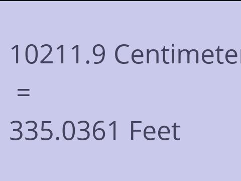 10211.9 CM TO FEET
