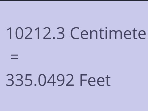 10212.3 CM TO FEET