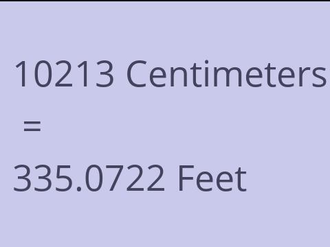 10213 CM TO FEET