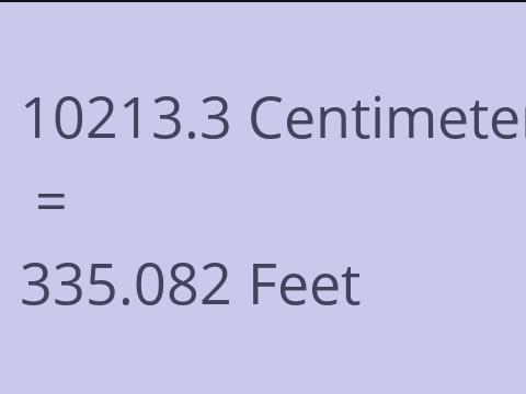 10213.3 CM TO FEET