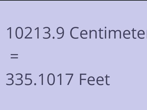 10213.9 CM TO FEET